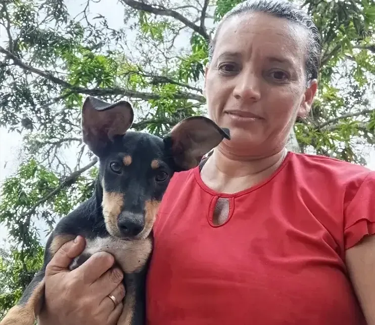Abrigo Voluntário Milena e Fernanda